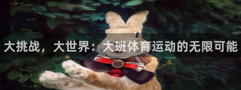 球皇篮球：大挑战，大世界：大班体育运动的无限可能