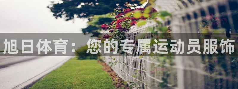 球皇nba球直播：旭日体育：您的专属运动员服饰