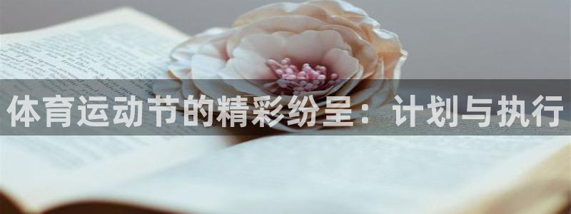 球皇杜：体育运动节的精彩纷呈：计划与执行