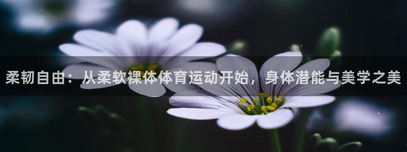球皇直播体育：柔韧自由：从柔软裸体体育运动开始，身体潜能与美学之美