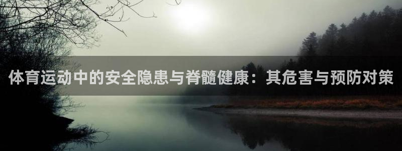 球皇看球app官网：体育运动中的安全隐患与脊髓健康：其危害与预防对策