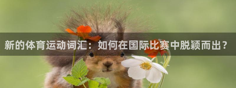 球皇直播cctv5：新的体育运动词汇：如何在国际比赛中脱颖而出？