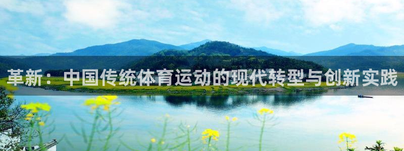 球皇无双：革新：中国传统体育运动的现代转型与创新实践